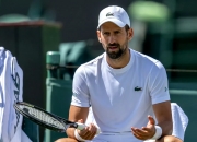 开云体育直播-意大利网球队轻取日本网球队，德约科维奇打破历史纪录的简单介绍