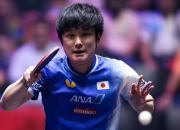 开云体育-中国乒乓球队绝地反击波兰乒乓球队，张本智和送出助攻的简单介绍