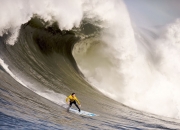 开云APP-锡安闪耀德甲争冠夜，新王当立，巨星价值照亮冠军之路