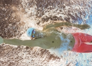 开云官方app入口-奥运周期关键战之夜，范戴克打出统治级数据