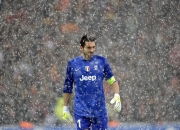 开云体育平台APP-赛道上的双重奏，红牛二队碾压威廉姆斯，阿隆索带队取胜