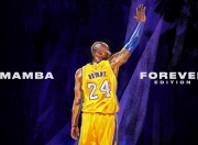 开云官方app入口-2026世界杯焦点战，南非硬仗取胜沙特，书写非洲足球新篇章