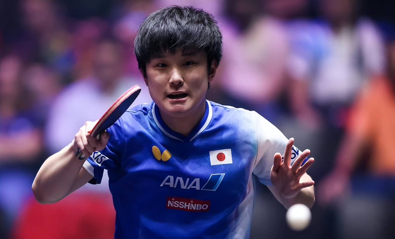 中国乒乓球队绝地反击波兰乒乓球队，张本智和送出助攻的简单介绍