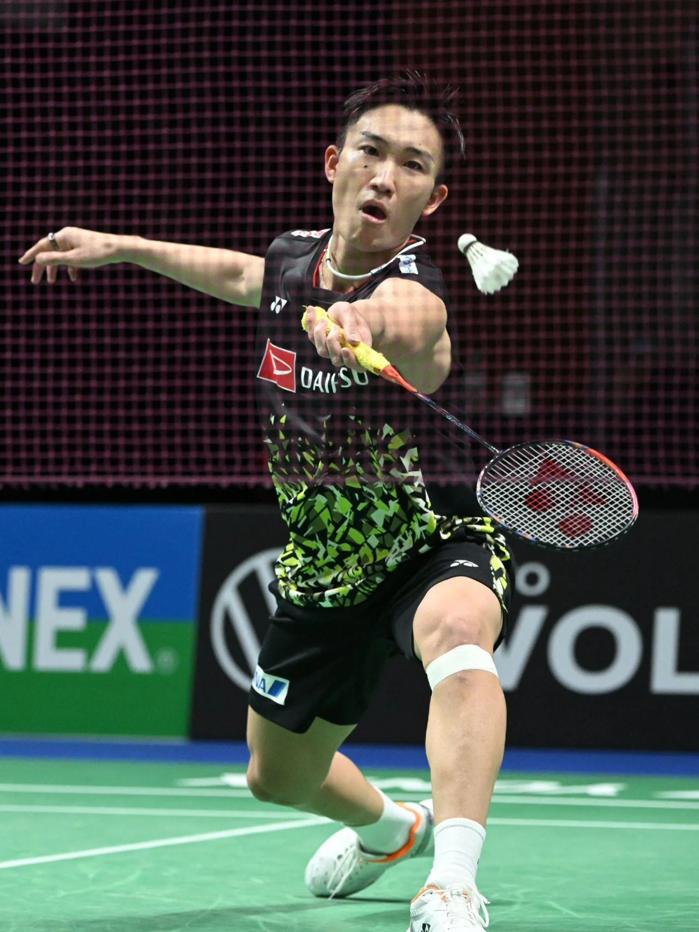 法国队逆转韩国队，桃田贤斗点燃赛场的简单介绍