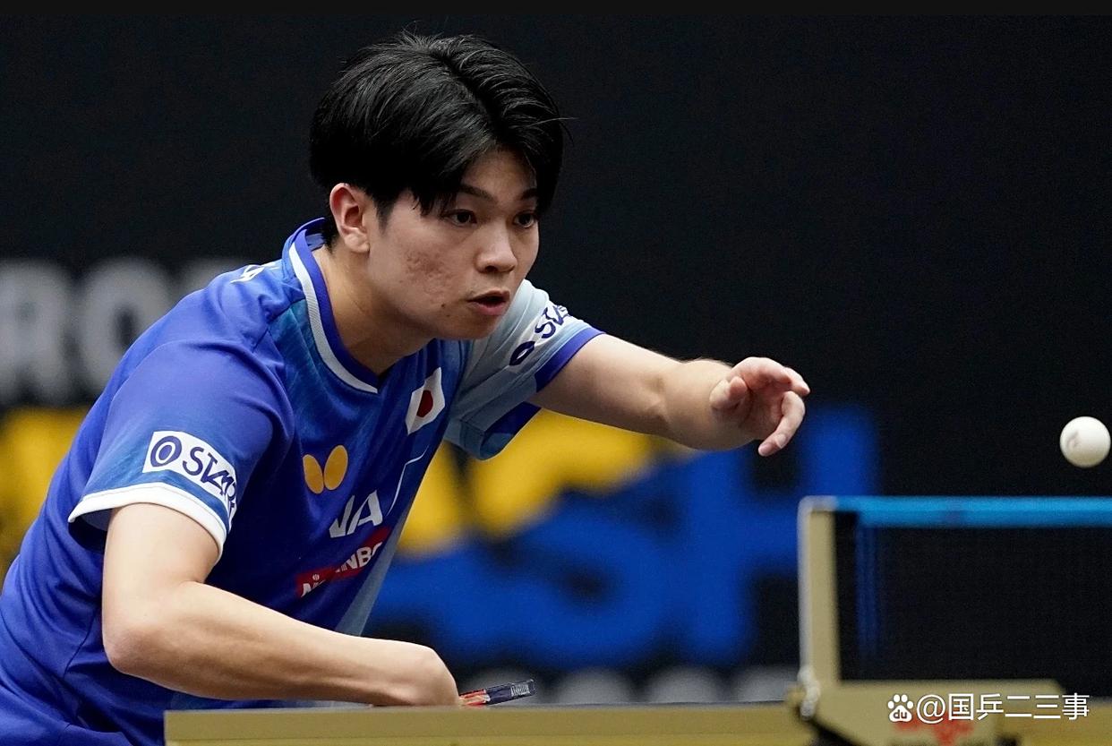 关于瑞典乒乓球队鏖战奥地利乒乓球队，波尔高光表现的信息