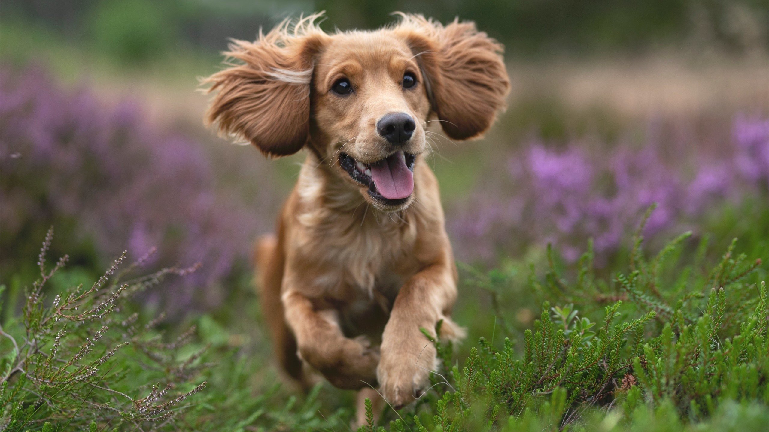 萨卡终场闪耀，瑞士绝境逢生—一场定义巨星价值的最后时刻