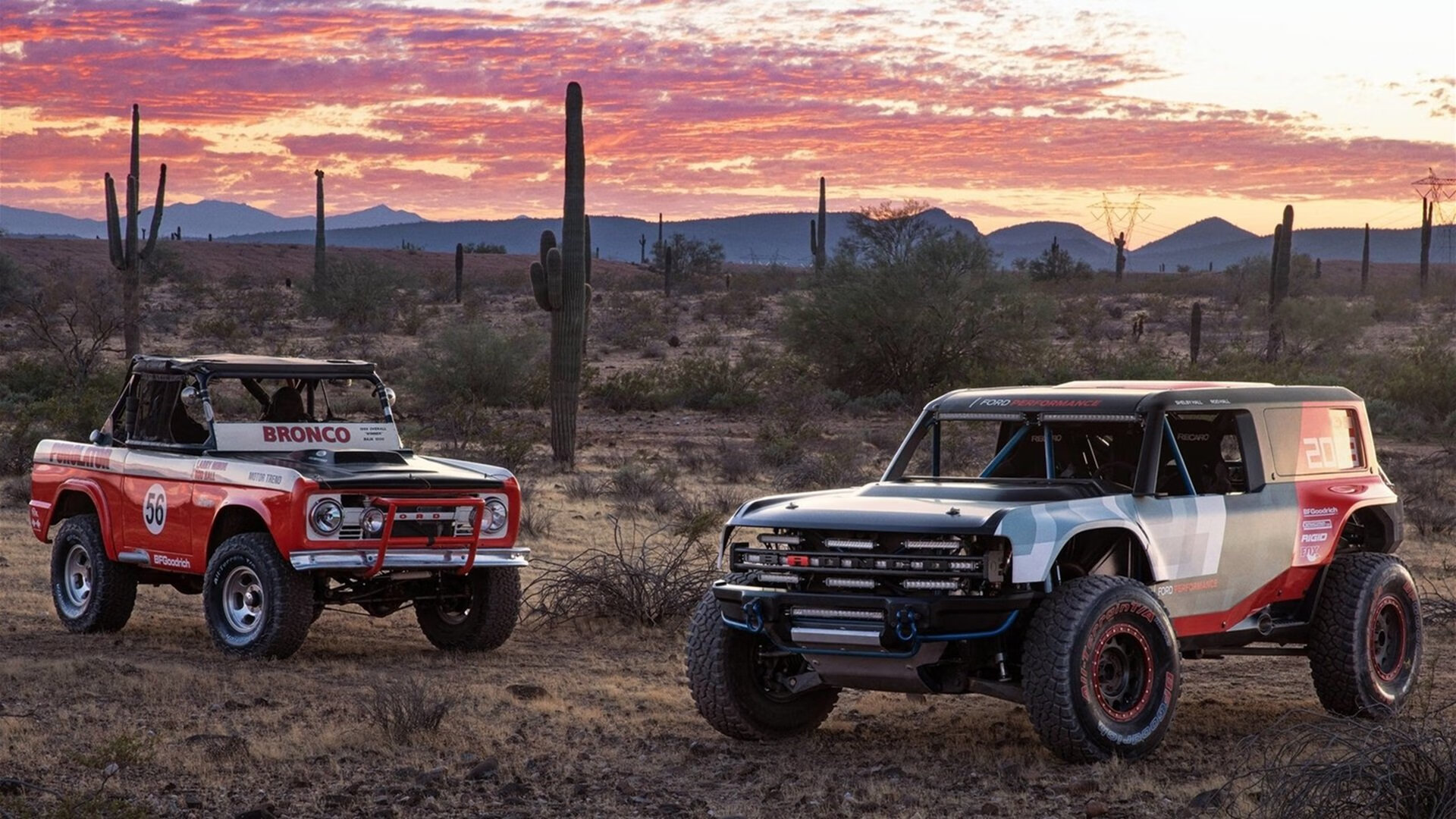 绿茵与硬木的统治力,国际米兰战术洪流冲垮塞内加尔铁壁,帕尔默西决生死战化身关键先生